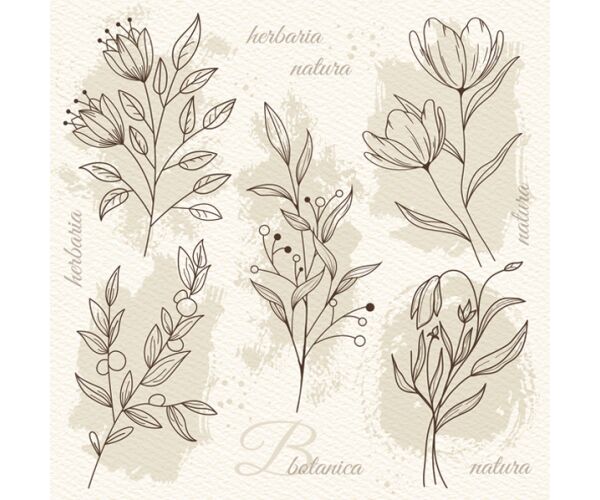 Ubrousky DAISY L (20ks) beige Flower Illustration on Watercolor Paper