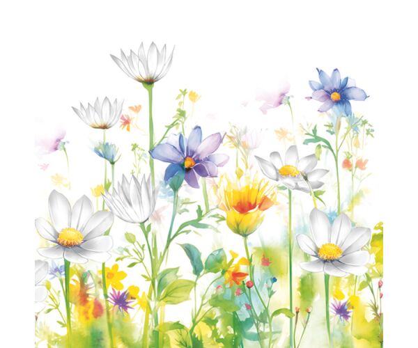 Ubrousky DAISY L (20ks) Beautifull Flower Meadow