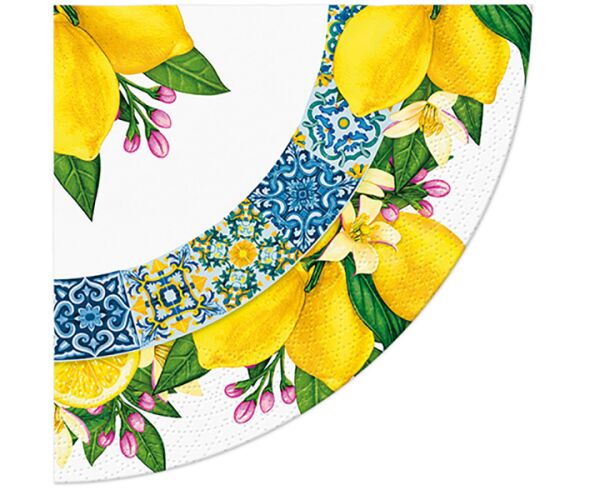 Ubrousky PAW Dekor R (12ks) Citrus Circle