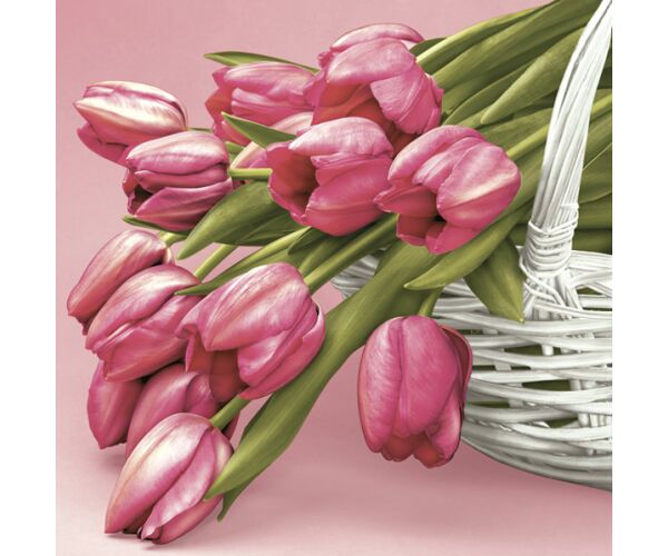 Ubrousky DAISY L (20ks) Falling Pink Tulips