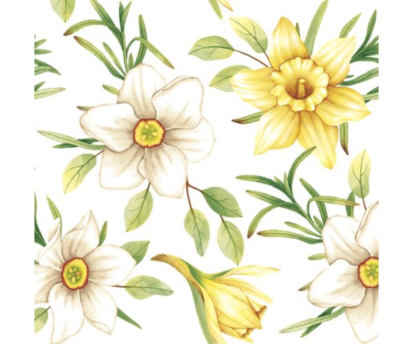 Ubrousky DAISY L (20ks) Watercolour Daffodils