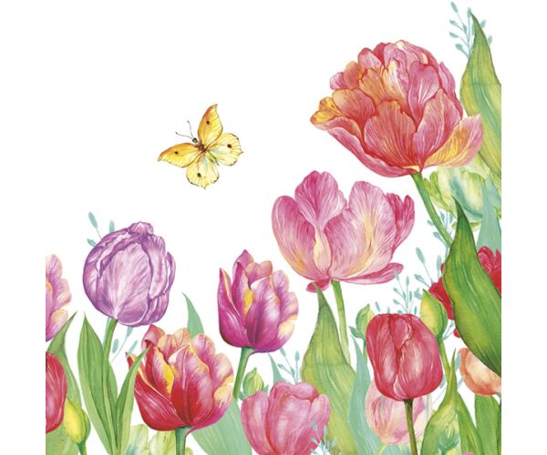 Ubrousky DAISY L (20ks) Watercolor Tulips