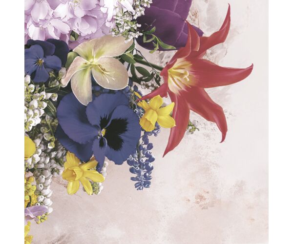 Ubrousky 33 x 33 cm DAISY 20 ks