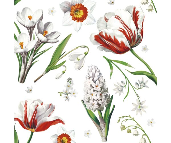 Ubrousky 33 x 33 cm DAISY 20 ks