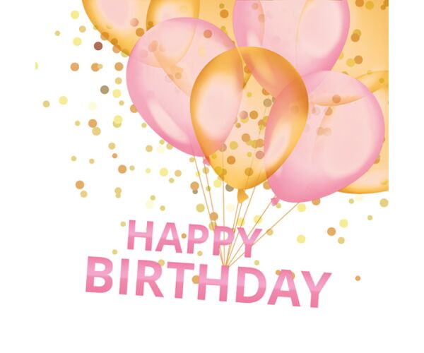 Ubrousky MAKI L (20ks) Happy Birthday pink