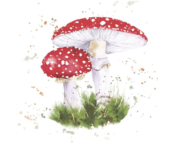 Ubrousky MAKI L (20ks) Painted Toadstool