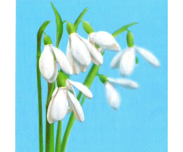 Ubrousky MAKI L (20ks) Blossoming Cherry Frame
