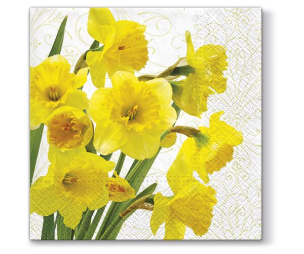 Ubrousky PAW TETE L (20ks) Yellow Daffodllis