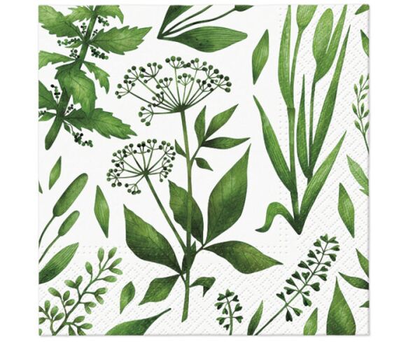 Ubrousky PAW TETE L (20ks) Green coctail