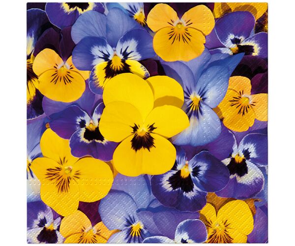 Ubrousky PAW TETE L (20ks) Looking Pansies