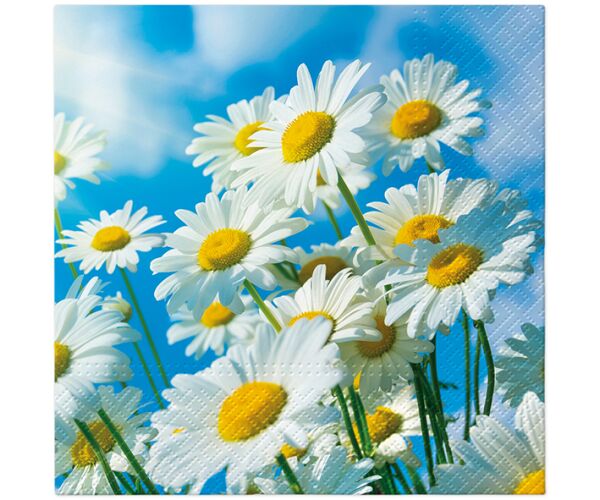 Ubrousky PAW TETE L (20ks) Sun Daisies