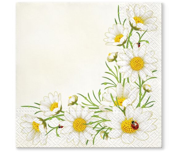 Ubrousky PAW TETE L (20ks) Bunch of Marguerites (cream)