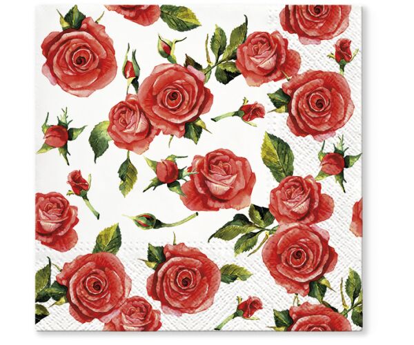 Ubrousky PAW TETE L (20ks) Rosy Style