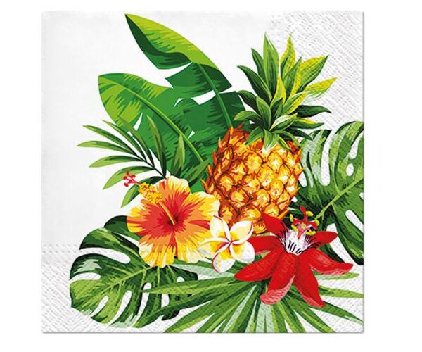 Ubrousky PAW Dekor L (20ks)