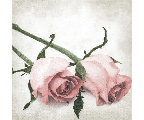 Ubrousky PAW Dekor L (20ks)