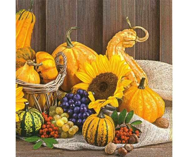 Ubrousky MAKI L (20ks) Autumn Fruits