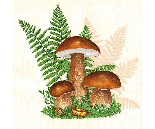Ubrousky MAKI L (20ks) Boletus with Leaves of Fern