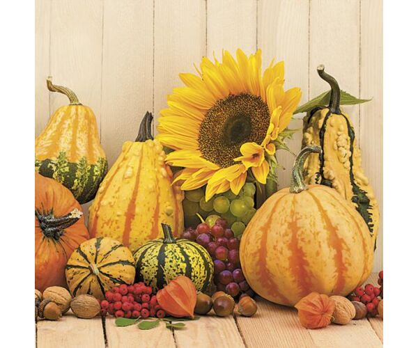 Ubrousky MAKI L (20ks) Autumn Pumpkins