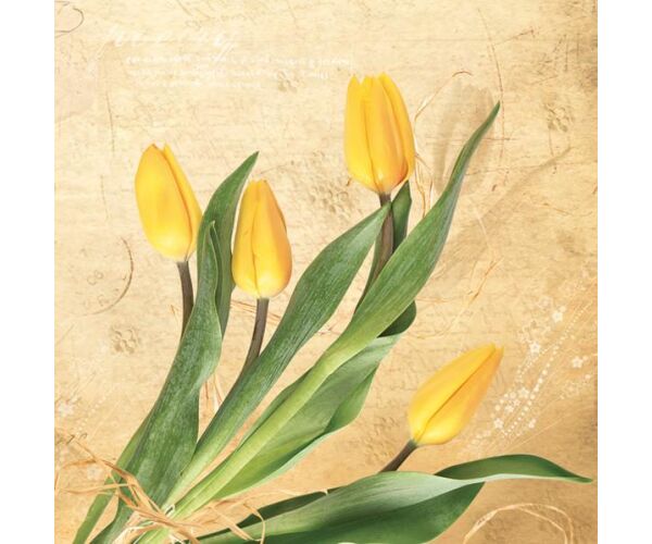 Ubrousky MAKI L (20ks) Bunch of Yellow Tulips