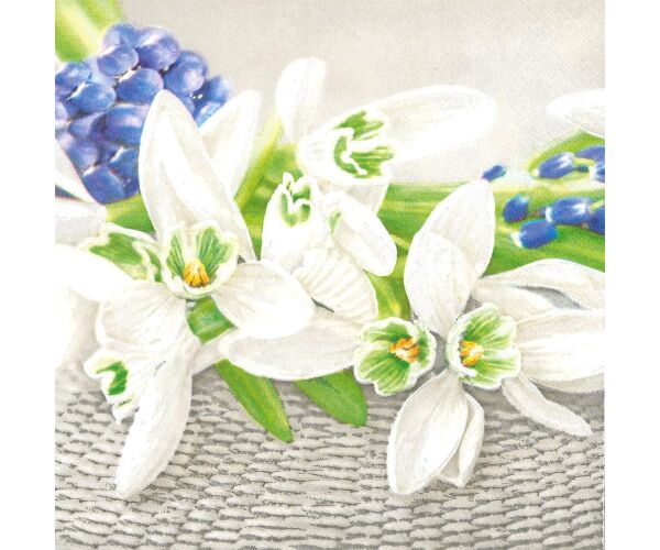 Ubrousky MAKI L (20ks) Snowdrops on Wicker Background