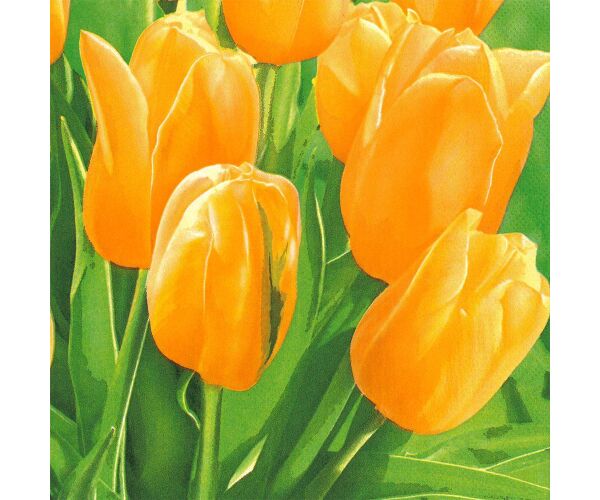 Ubrousky MAKI L (20ks) Fresh Sunny Tulips