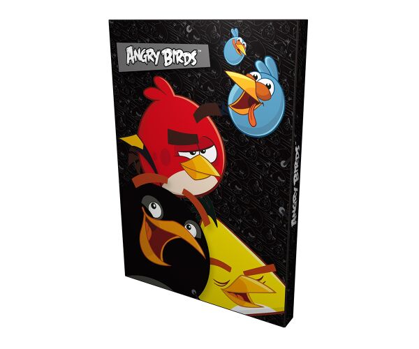 Box na sešity A4 Angry Birds