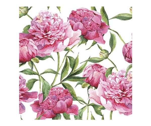 Ubrousky PAW TETE L (20ks) Pink Peonies