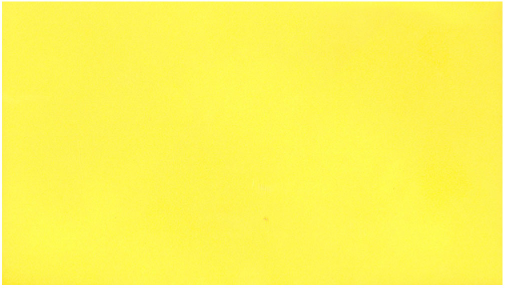 PUKKA obálka DL 100g žlutá kanárková/50/