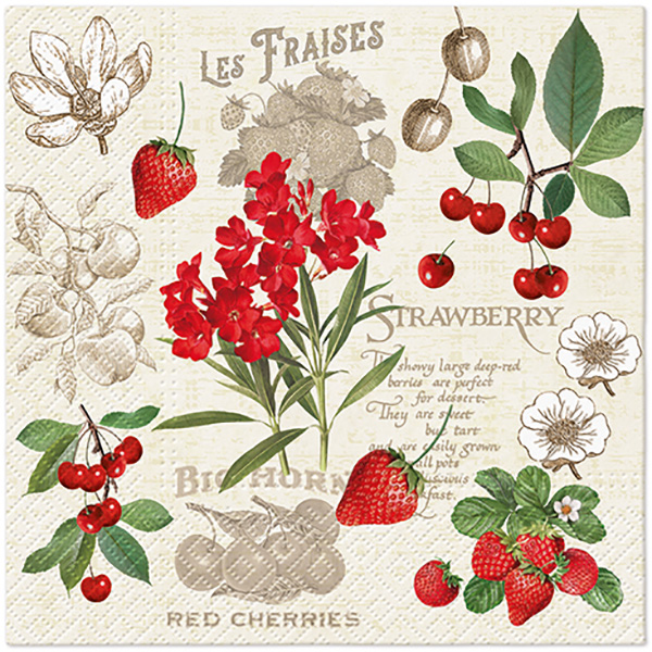 Ubrousky PAW Dekor L (20ks) Summer Fruits