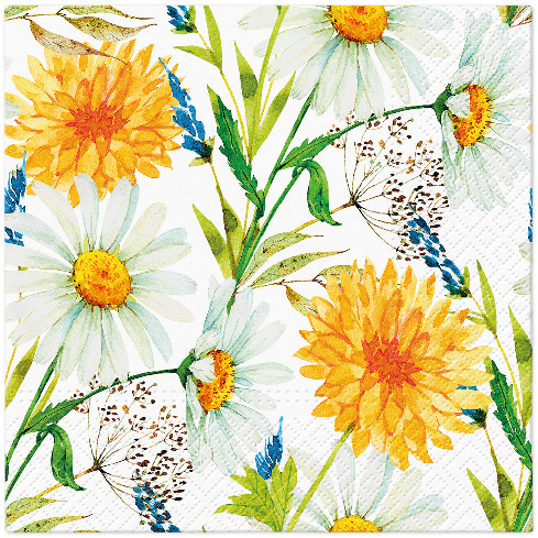 Ubrousky PAW Dekor L (20ks) Summer Whisper