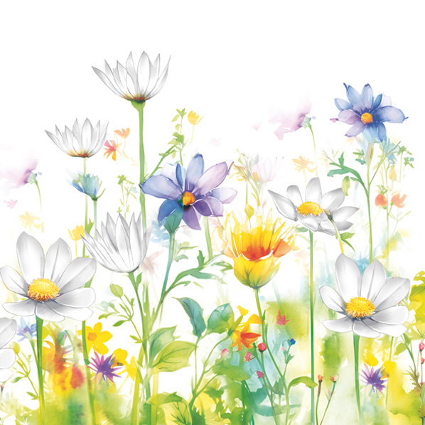 Ubrousky DAISY L (20ks) Beautifull Flower Meadow